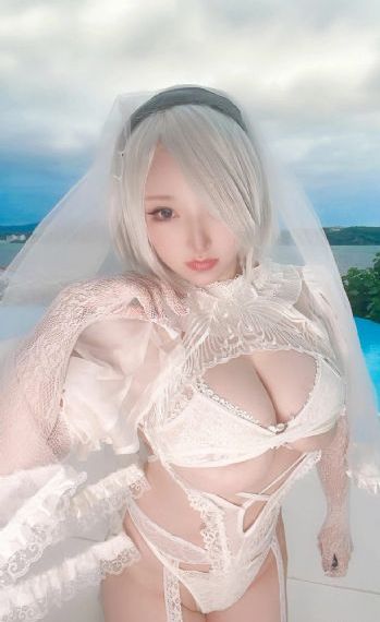 精灵之森ova1-4动漫在线观看_高清超清在线观看